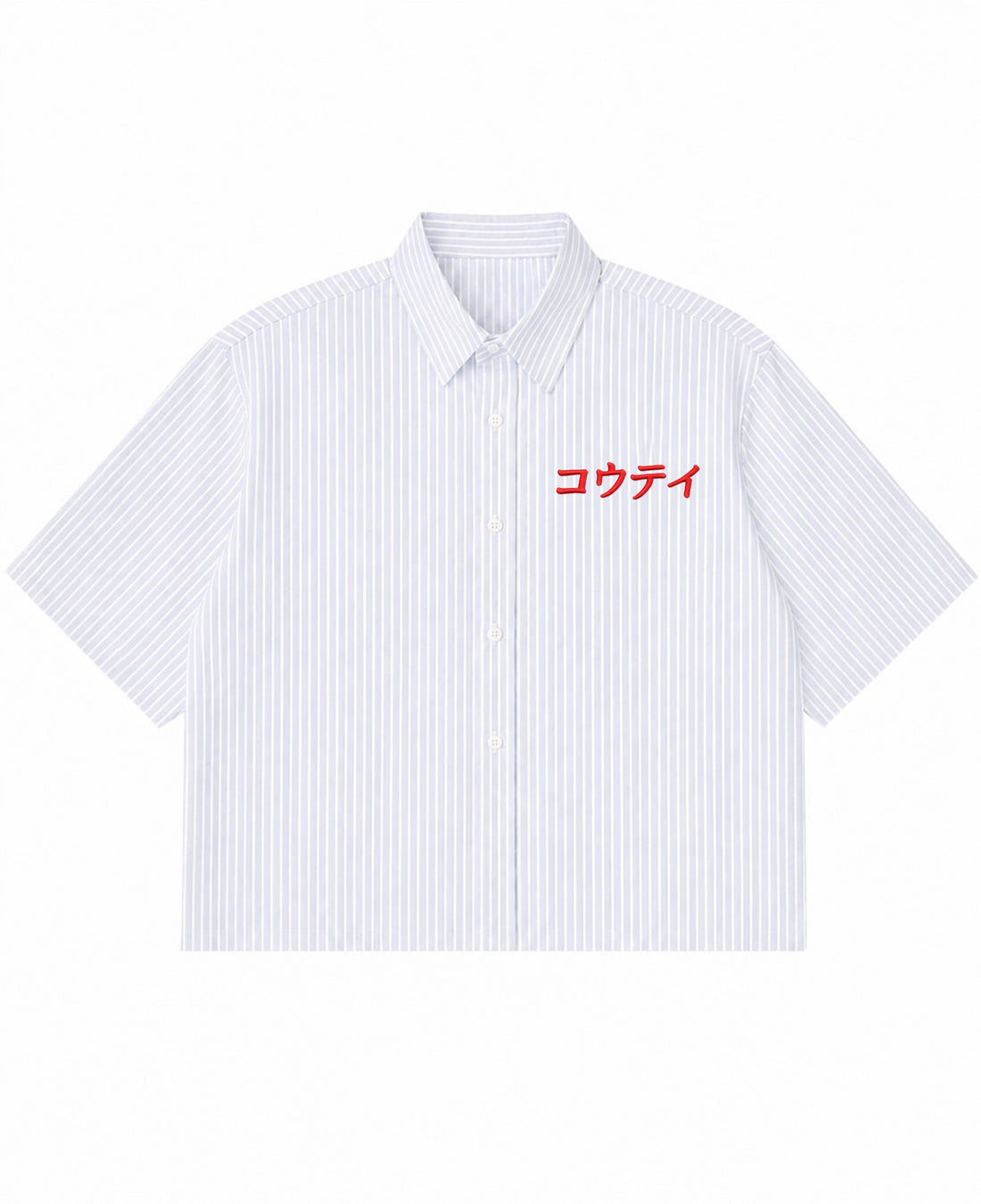 Blue Striped Oxford Boxy Shirt Front Design