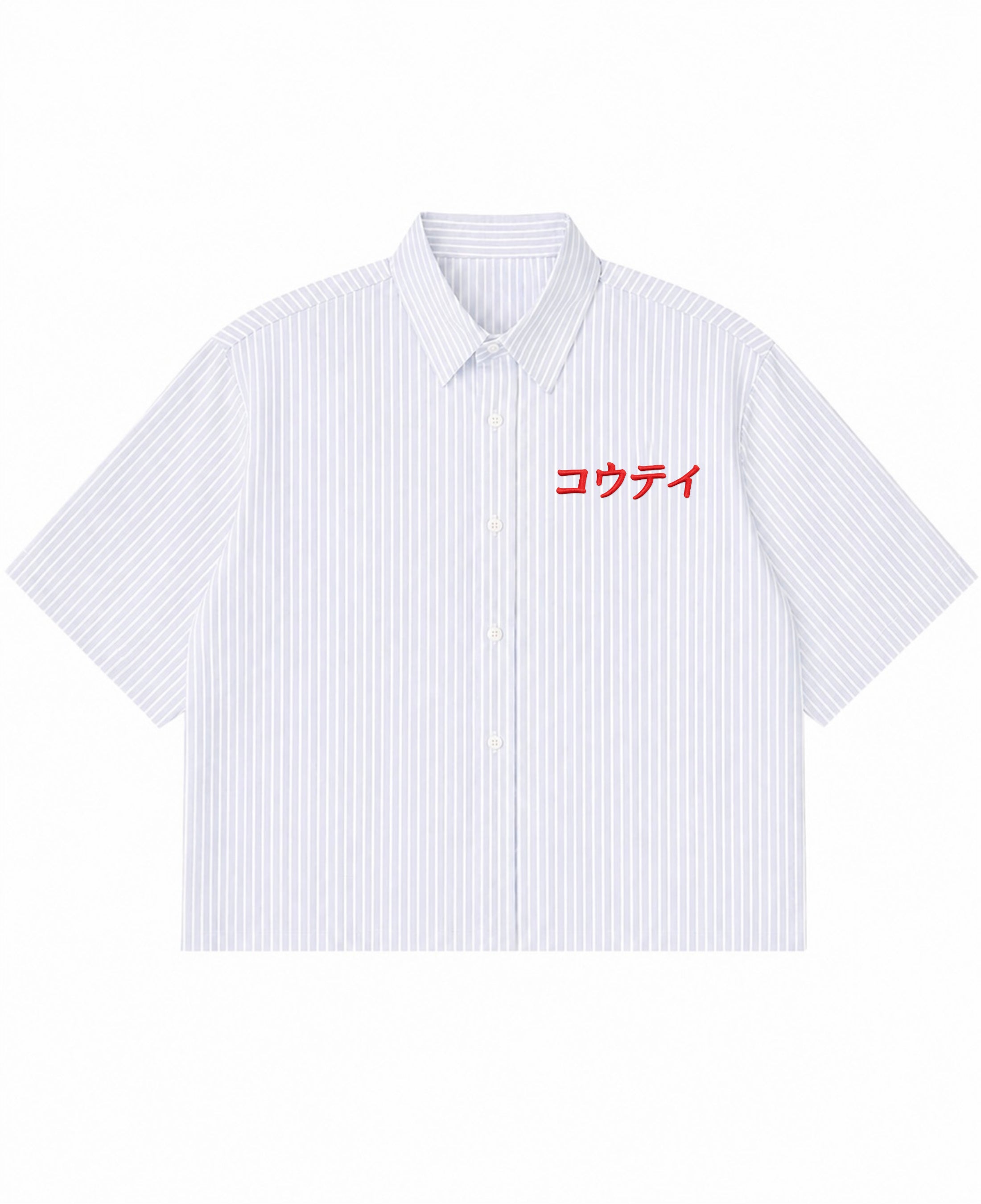 Blue Striped Oxford Boxy Shirt Front Design