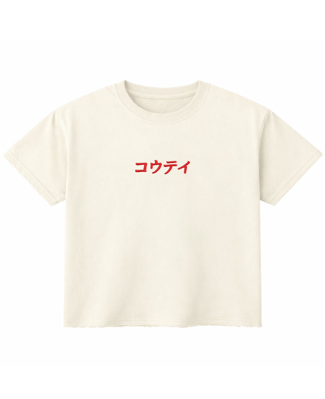 Off White Boxy Fit T-shirt Front Design